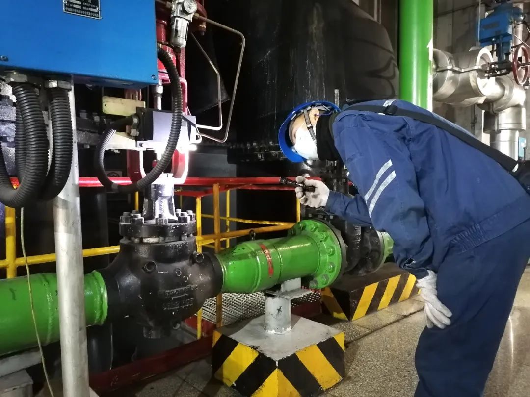 image003.jpg image003.jpg