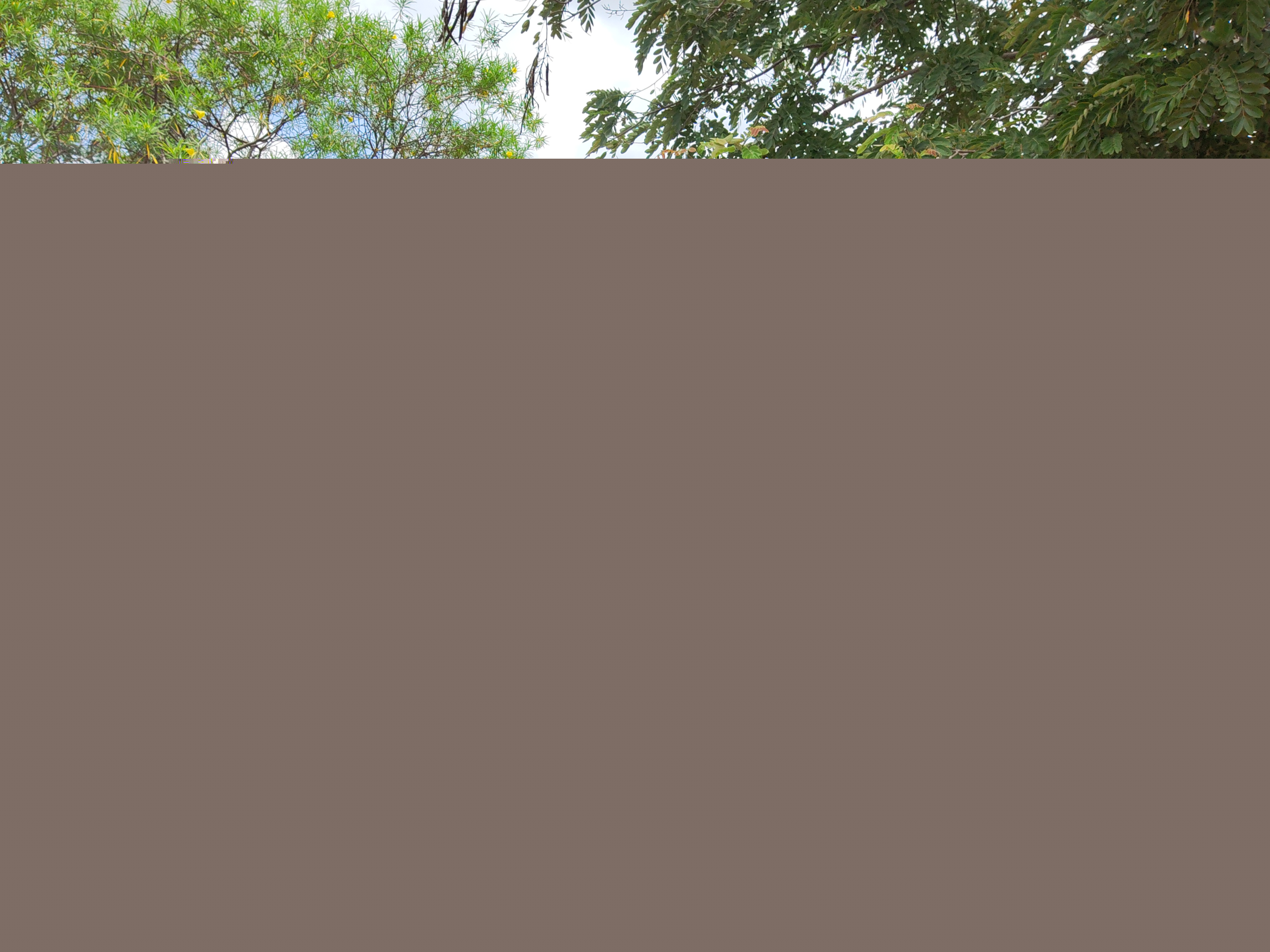 IMG_20220817_110315.jpg IMG_20220817_110315.jpg