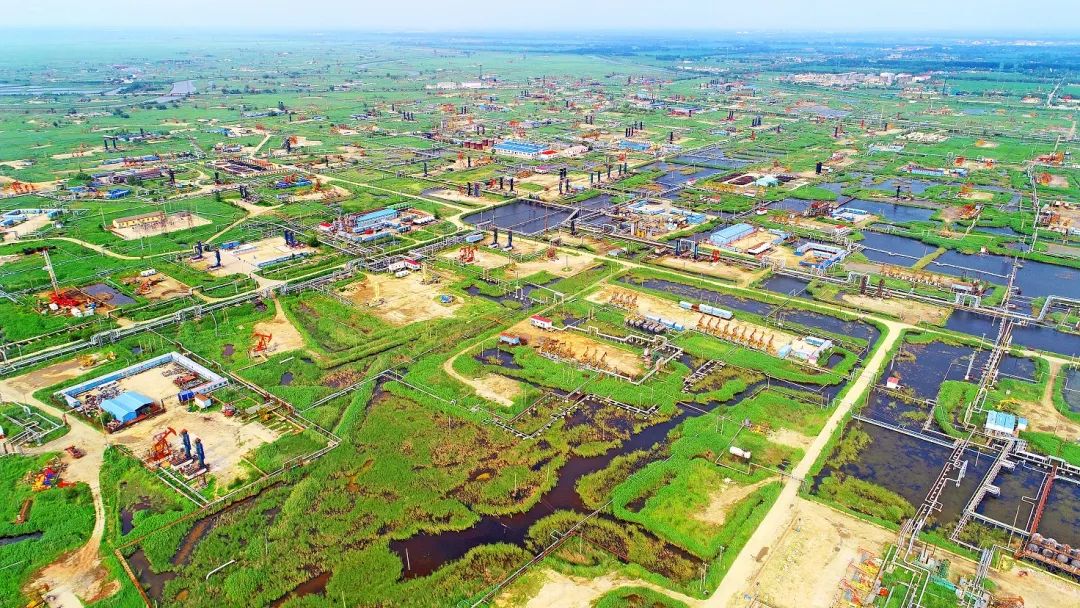 位于繞陽河畔的遼河油田杜84塊稠油生產現場。 陳允長 攝.jpg