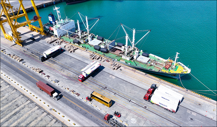 同比增長超兩成，上半年遼港集團集裝箱生產“成績單”亮眼5 (2)-ok.jpg