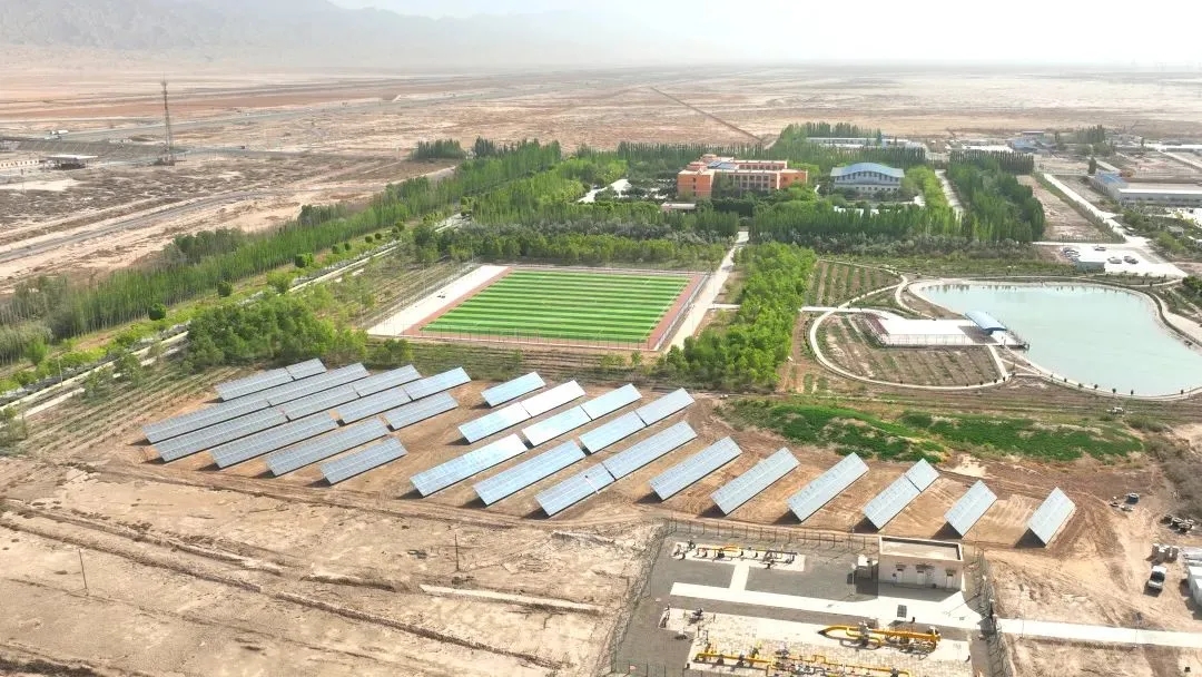 塔里木.webp.jpg 塔里木.webp.jpg