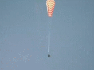 mmexport1698715311108.jpg mmexport1698715311108.jpg