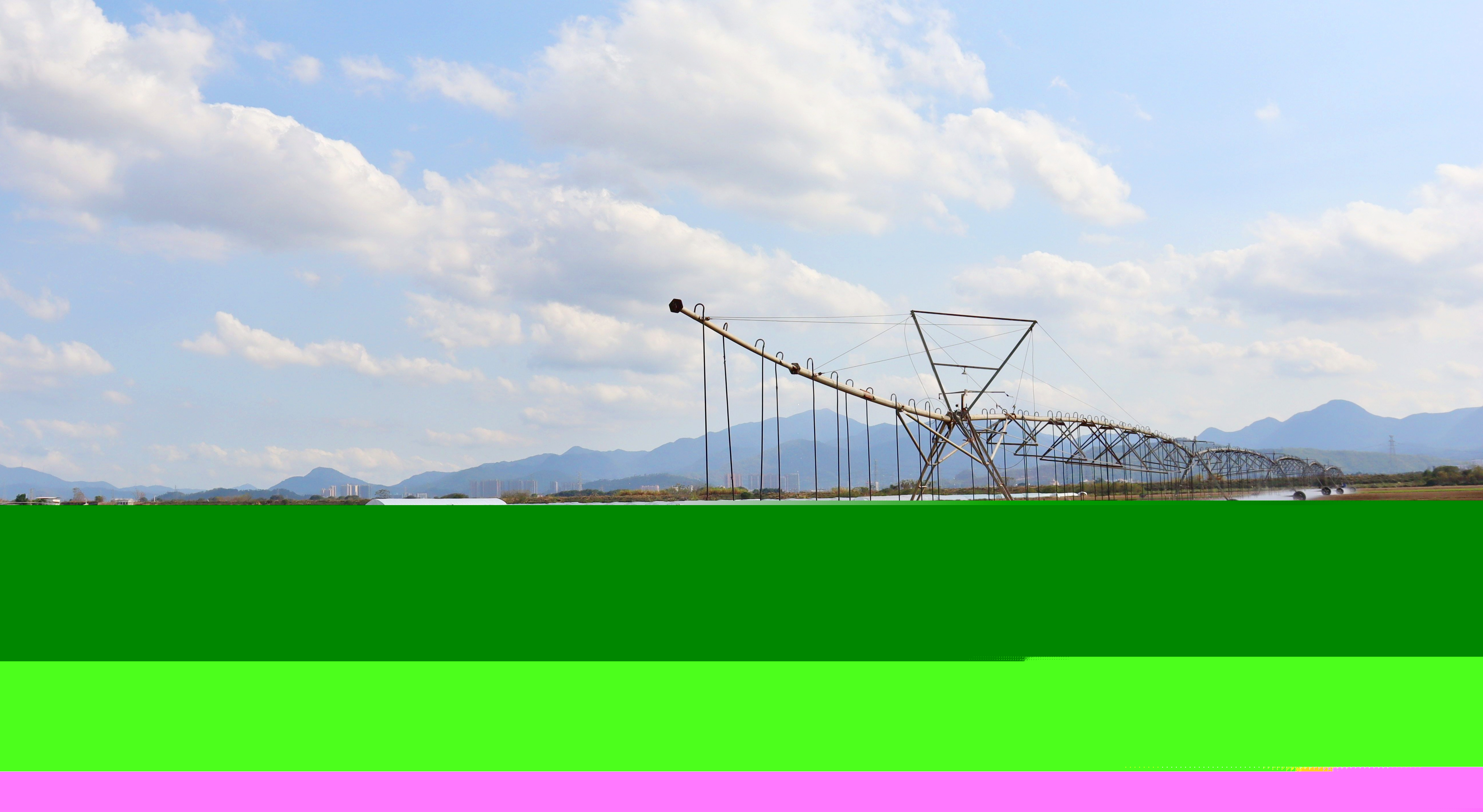 中國融通集團農發廣州區域公司惠州分公司菜場利用平移式噴灌機實現精準灌溉 (2).jpg