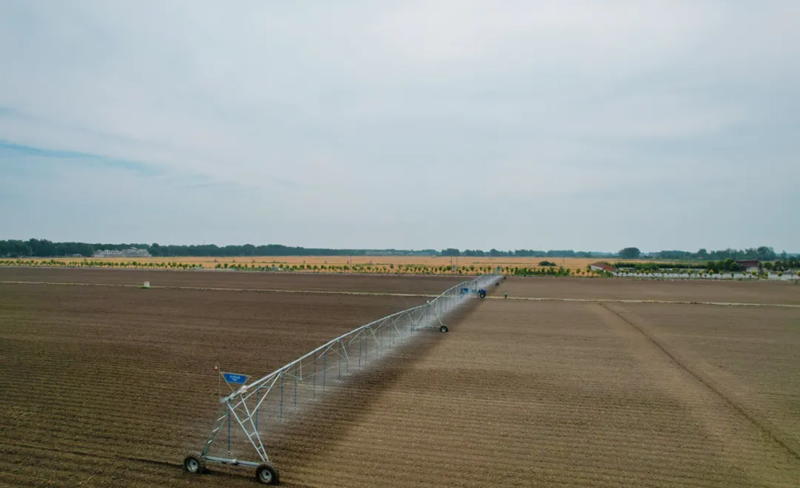 圖片1.png 圖片1.png