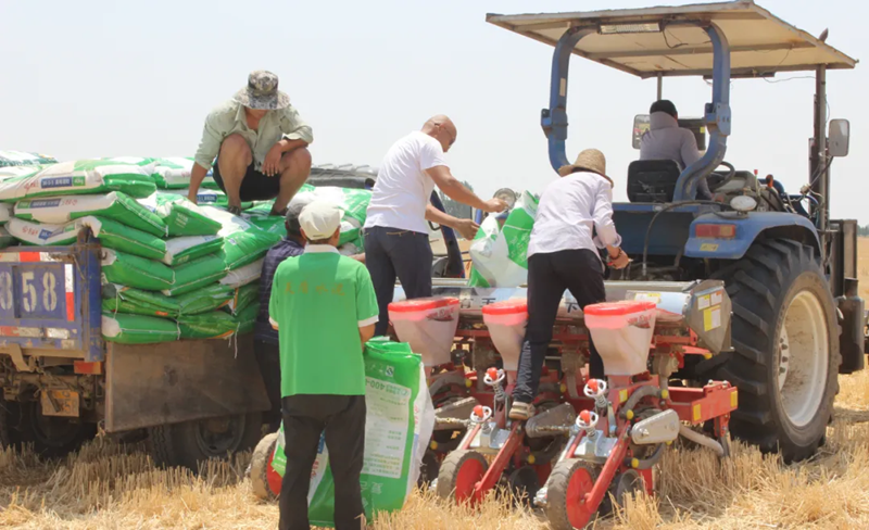 圖片3.png 圖片3.png