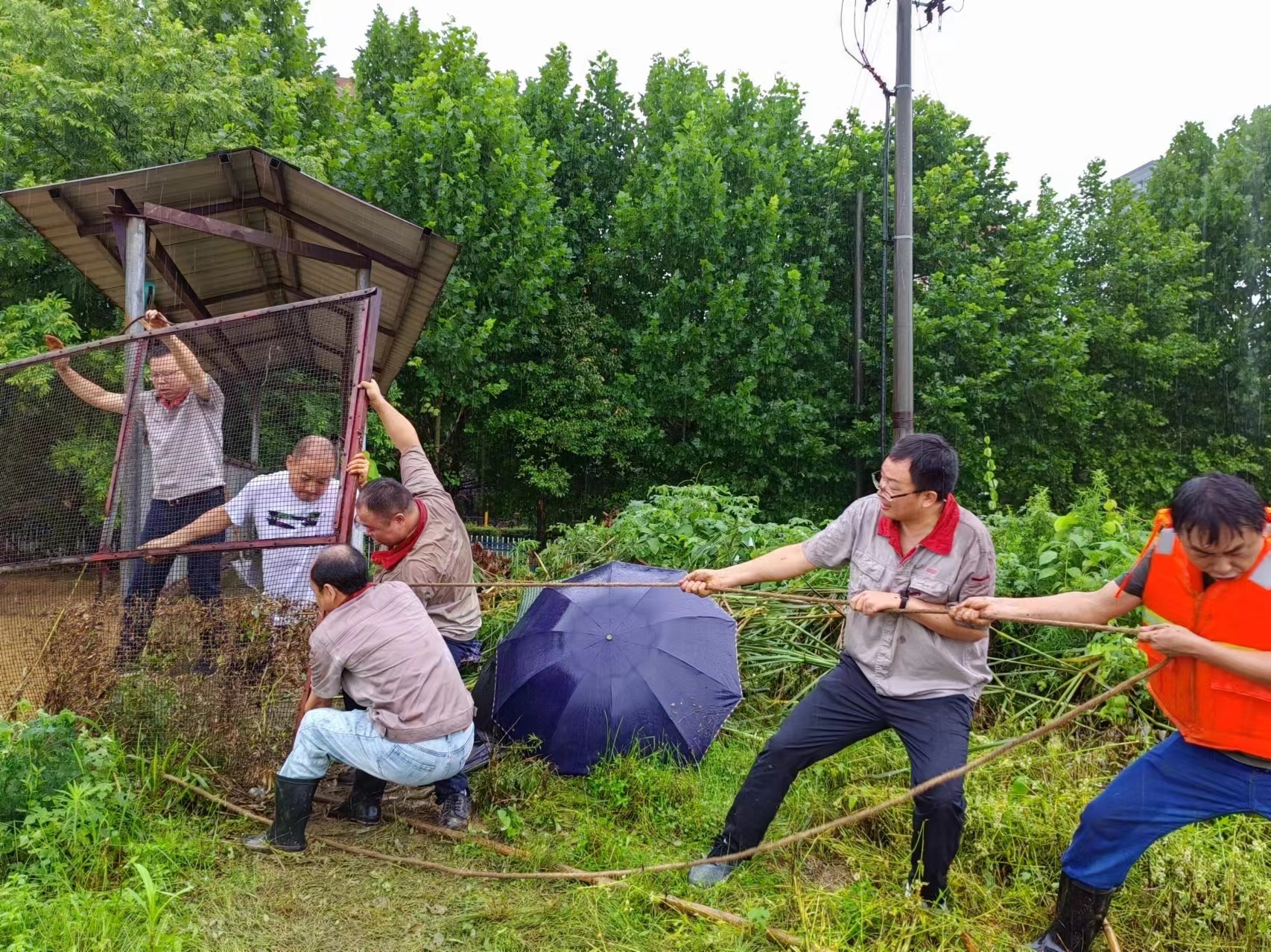 微信圖片_20240702113532.jpg 微信圖片_20240702113532.jpg