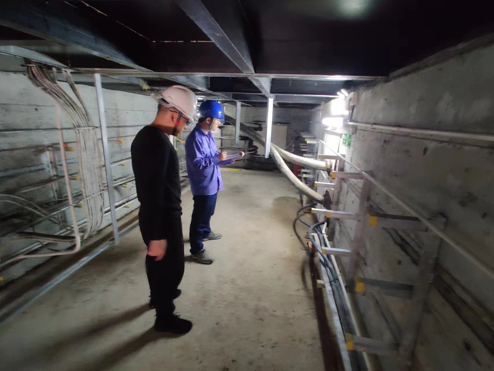 清能.jpg 清能.jpg