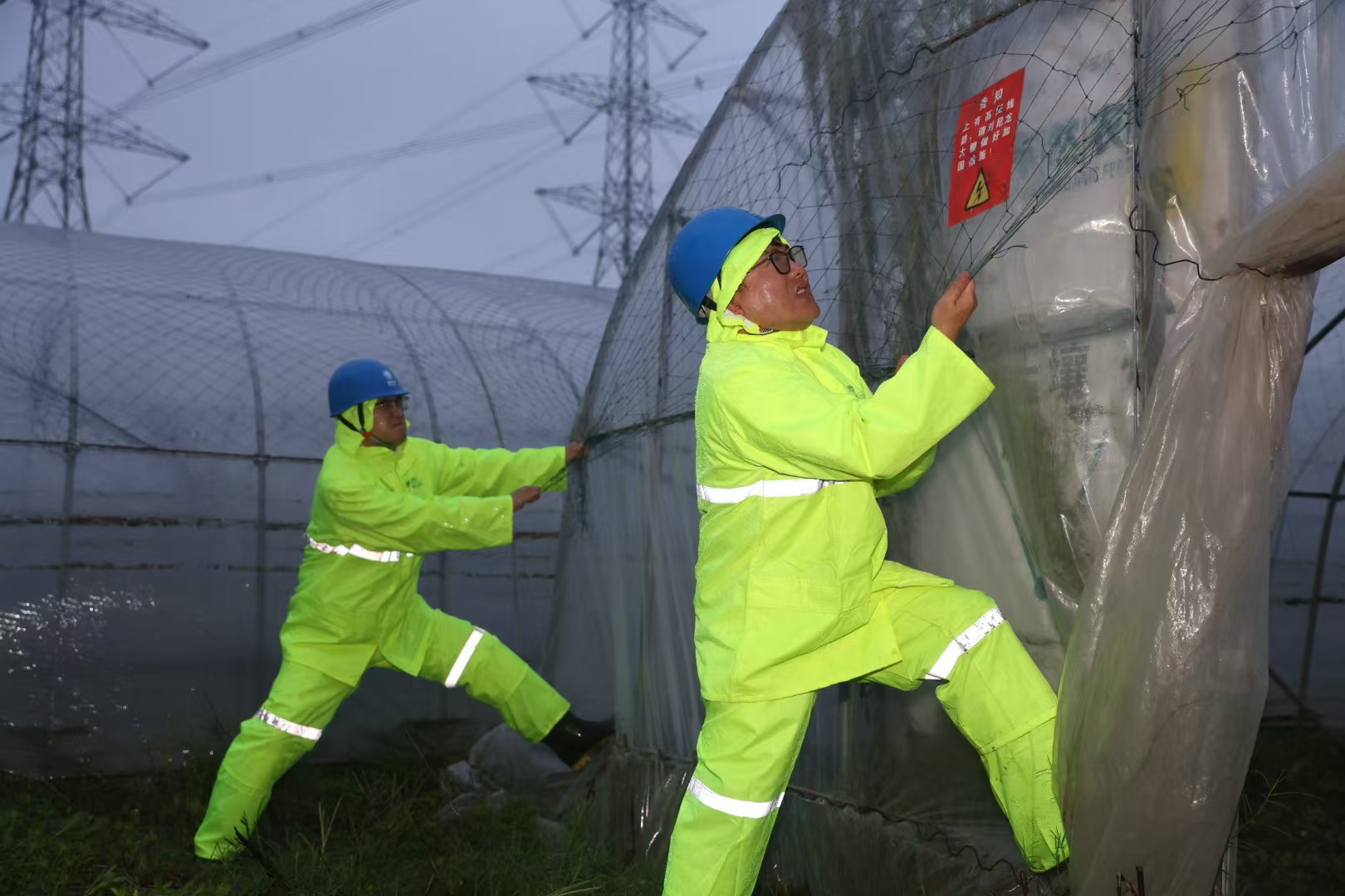 2.國網上海超高壓公司輸電運維人員在浦東臨港地區緊急處置重要輸電通道下破損蔬菜大棚。.jpg