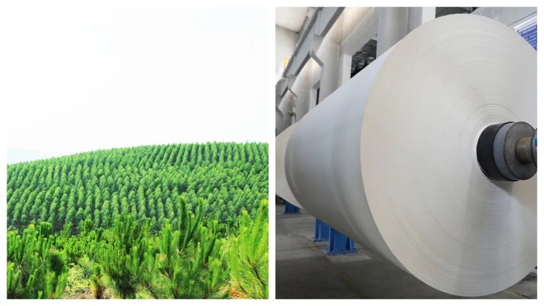 61yun2.jpg 61yun2.jpg