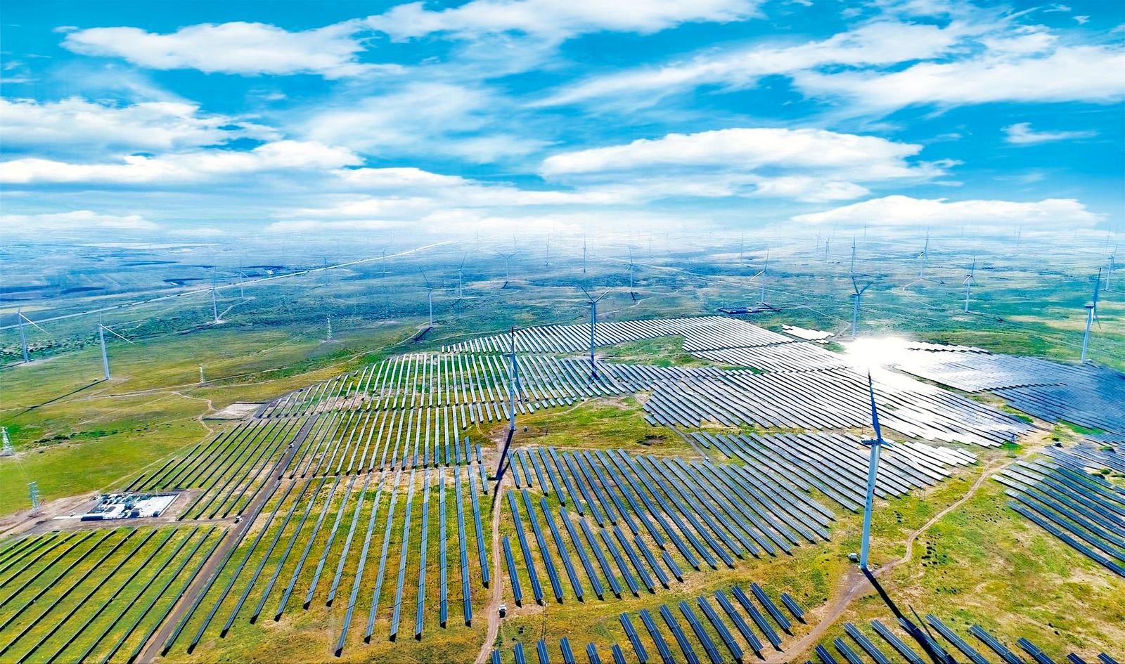 8098364_be14bc45-dd83-4d32-b215-5ff07cfd1aff.jpg 8098364_be14bc45-dd83-4d32-b215-5ff07cfd1aff.jpg