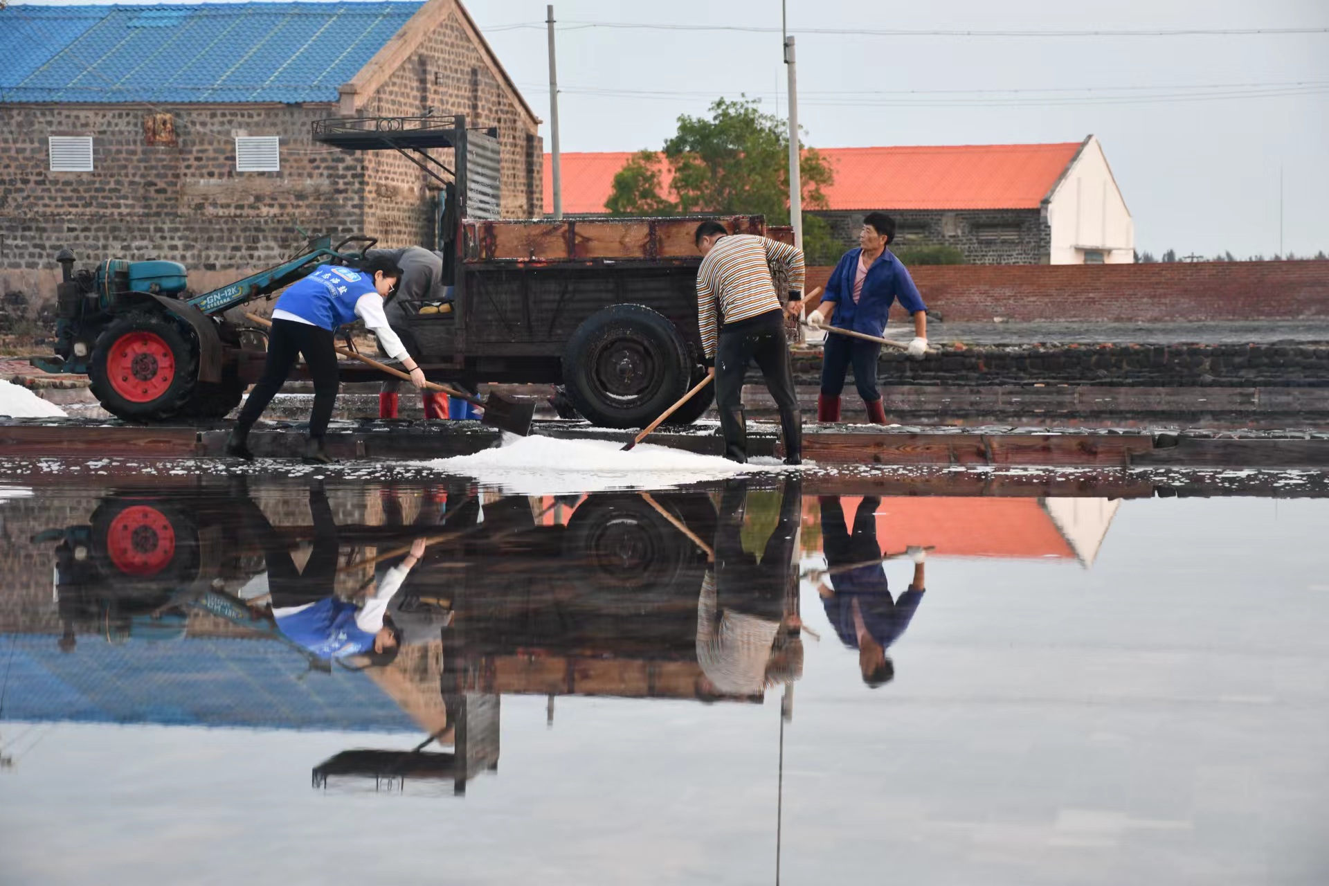 圖1 徐聞鹽場苞西工區鹽工手工收鹽場景.jpg 圖1 徐聞鹽場苞西工區鹽工手工收鹽場景.jpg