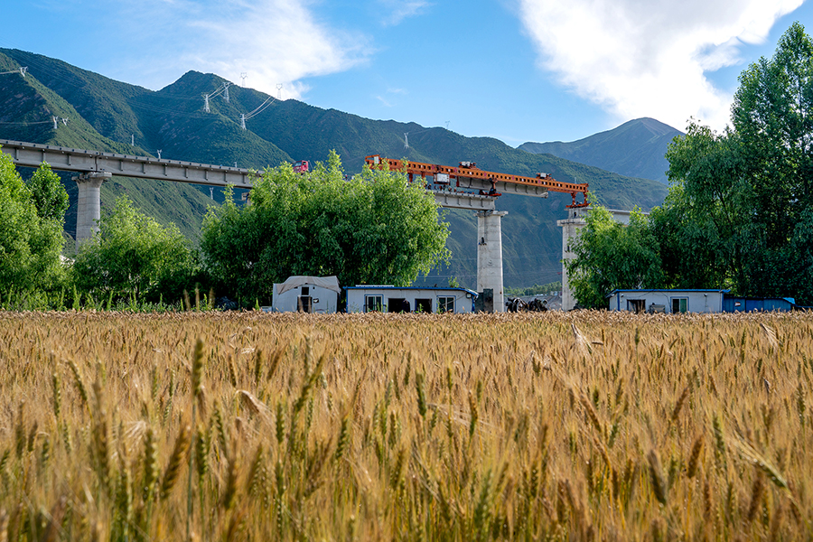 此次完成的拉林鐵路雅魯藏布江最后一跨——加查1號(hào)特大橋位于山南市加查縣境內(nèi)，全長(zhǎng)1135米，由29孔32米簡(jiǎn)支T梁和168米的連續(xù)梁組成。該橋位于加查水電站下游，受降雨、風(fēng)速等水域小氣候影響明顯。圖為中鐵十一局拉林鐵路架梁隊(duì)正在架設(shè)加查1號(hào)特大橋。（丁慶濱 攝）