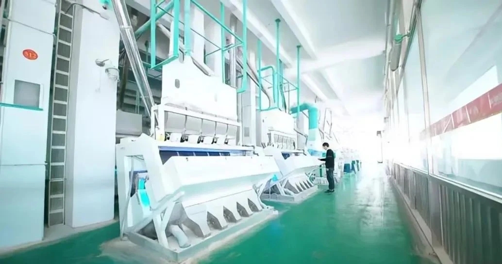 lQDPJxZKBJLhmhfNAiHNBAqw8GgaMpPHfpAGiQJ1Ks25AA_1034_545.jpg lQDPJxZKBJLhmhfNAiHNBAqw8GgaMpPHfpAGiQJ1Ks25AA_1034_545.jpg